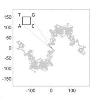 Chaos game representation of the homo sapiens mitochondrion genome complete sequence(GenBank: EU810403.1) (r=2) EU81043 1-r2 letters.png