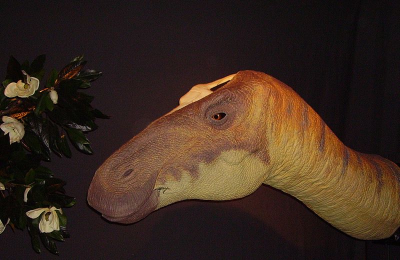 File:Edmontosaurus Animatronics model NHM.jpg