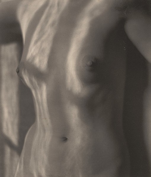 File:Edward Weston, Refracted Sunlight on Torso, 1922.jpg