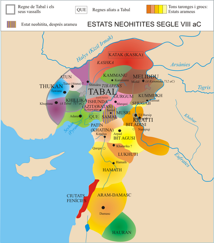 Estats arameus i neohitites, segles IX i VIII aC