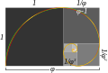 Сьпіраль з чвэрцяў колаў, упісаных у квадраты датычных простых лініяў, дзе даўжыня бока меншага квадрата адносіцца да даўжыні бока большага квадрата ў залатой прапорцыі (1:1,618)