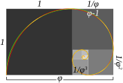 Approssimazione spirale di fibonacci e spirale aurea