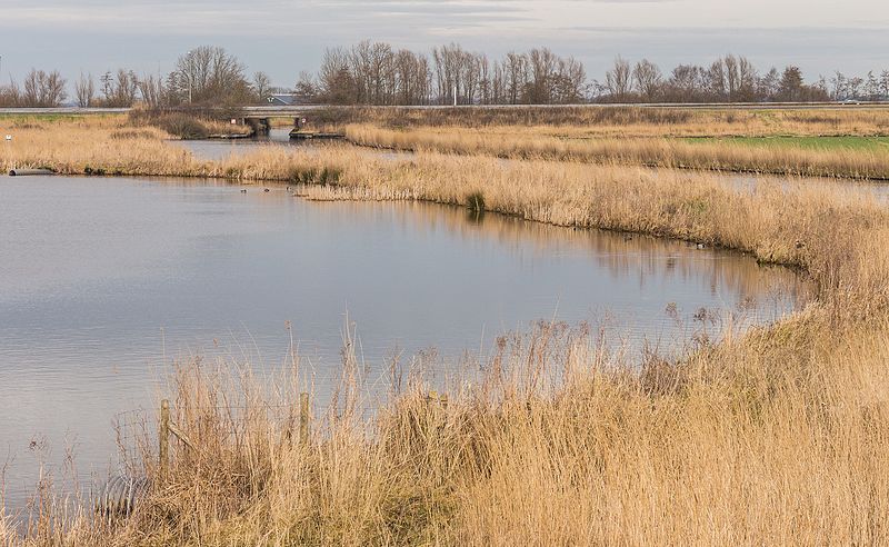 File:Fammensrakken Mûzekamp, Boornzwaag 13.jpg