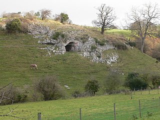 Ffynnon Beuno and Cae Gwyn Caves Caves which are a site of special scientific interest in Denbighshire, Wales, UK