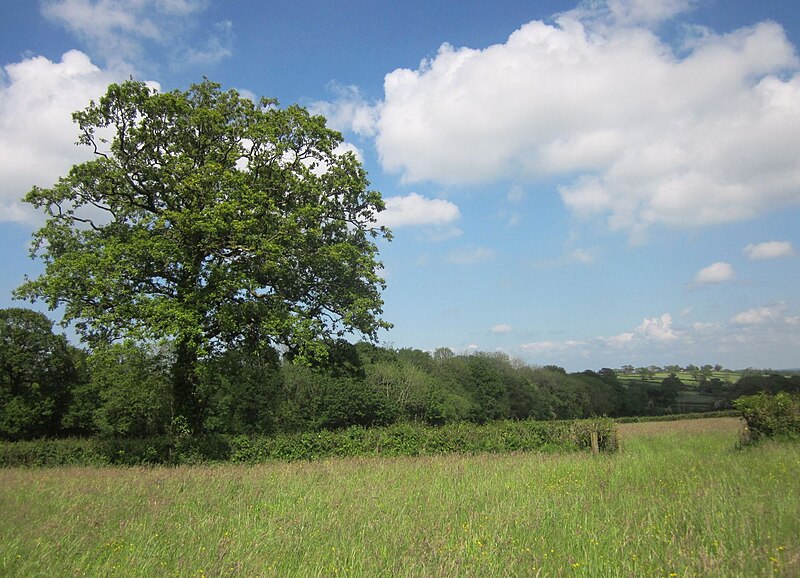 File:Fields near Odham - geograph.org.uk - 4010891.jpg