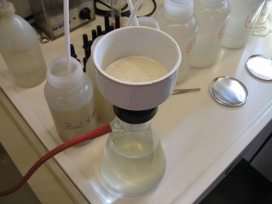 Een Büchnerfilter zoals die in het laboratorium wordt gebruikt bij de filtratie van suspensies of neerslagen uit een oplossing.
