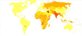 Disability-adjusted life years for fires per 100,000 inhabitants in 2004.
.mw-parser-output .col-begin{border-collapse:collapse;padding:0;color:inherit;width:100%;border:0;margin:0}.mw-parser-output .col-begin-small{font-size:90%}.mw-parser-output .col-break{vertical-align:top;text-align:left}.mw-parser-output .col-break-2{width:50%}.mw-parser-output .col-break-3{width:33.3%}.mw-parser-output .col-break-4{width:25%}.mw-parser-output .col-break-5{width:20%}@media(max-width:720px){.mw-parser-output .col-begin,.mw-parser-output .col-begin>tbody,.mw-parser-output .col-begin>tbody>tr,.mw-parser-output .col-begin>tbody>tr>td{display:block!important;width:100%!important}.mw-parser-output .col-break{padding-left:0!important}}
.mw-parser-output .legend{page-break-inside:avoid;break-inside:avoid-column}.mw-parser-output .legend-color{display:inline-block;min-width:1.25em;height:1.25em;line-height:1.25;margin:1px 0;text-align:center;border:1px solid black;background-color:transparent;color:black}.mw-parser-output .legend-text{}
no data
< 50
50-100
100-150
150-200
200-250
250-300
300-350
350-400
400-450
450-500
500-600
> 600 Fires world map - DALY - WHO2004.svg