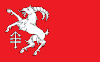 Flag of Kozłów rural district.gif
