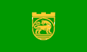 Flag of Nova Zagora.gif