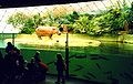 Flusspferdhaus im Zoologischen Garten Berlin.