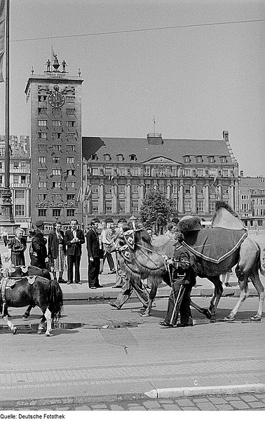 File:Fotothek df roe-neg 0006311 026 Umzug in Leipzig.jpg