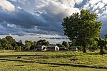 Миниатюра для Файл:Four dogs running at golden hour in the countryside of Don Det Laos.jpg