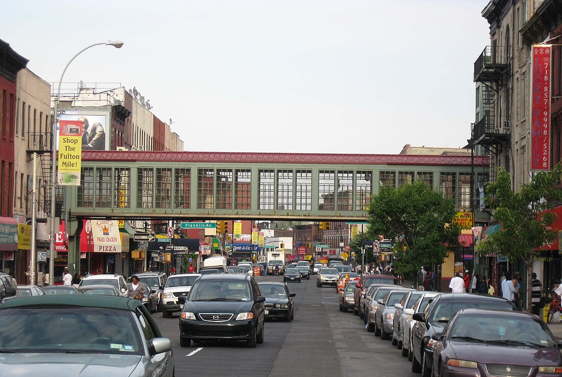 Fulton Street (Brooklyn)