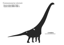 List of sauropodomorph type specimens - Wikipedia