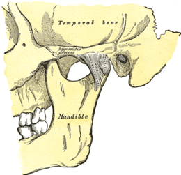 Syndrome mononucléosique cim 10