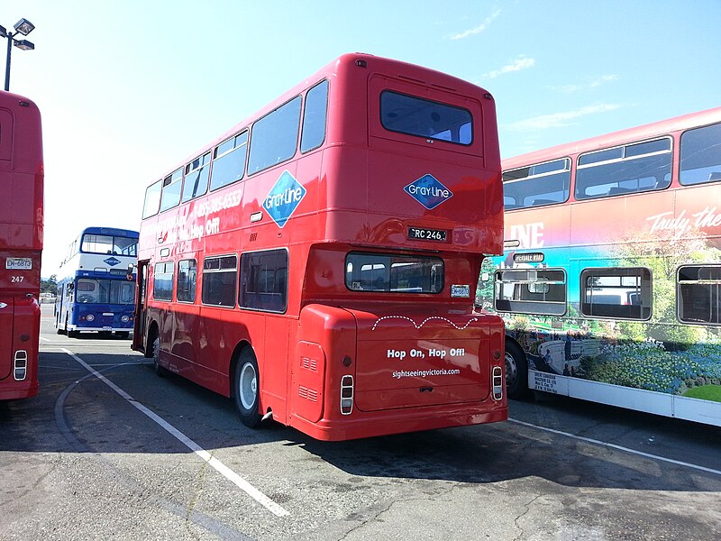 File:GrayLine tour buses at Victoria Cruise Terminal (2013).jpg