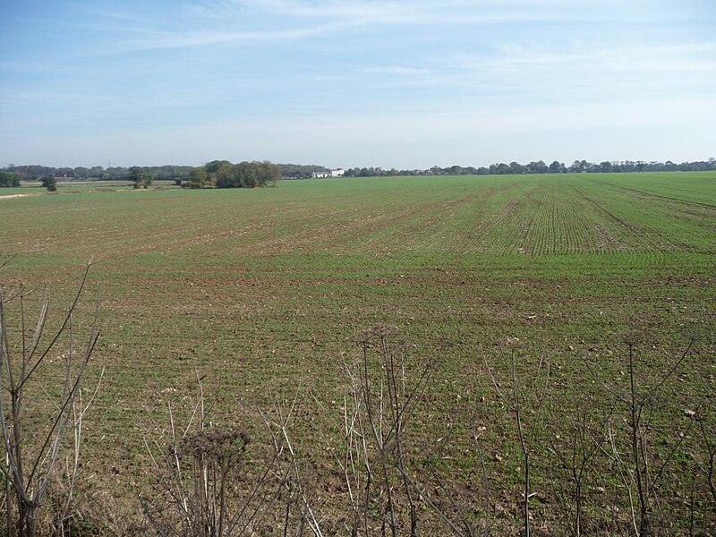 File:Greening field east of Doncaster Lane - geograph.org.uk - 2626885.jpg