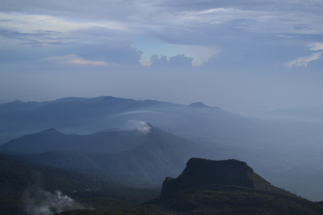 Taman nasional