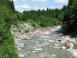 Halbammer unterhalb der Brücke bei Unternogg