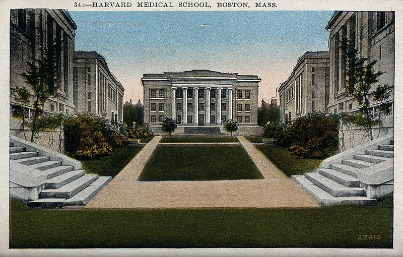 File:Harvard Medical School Wellcome V0049885.jpg