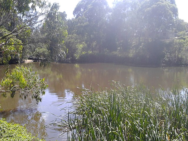 Headwaters of the Parramatta River