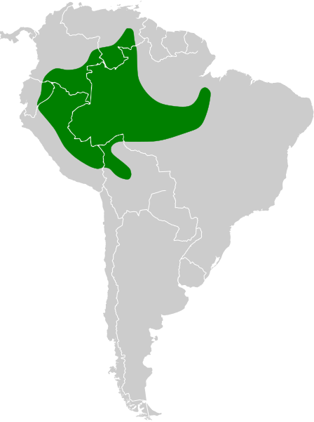 File:Heliodoxa aurescens map.svg