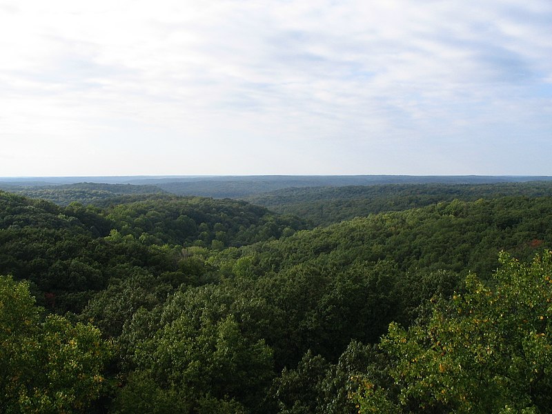 File:Hickory Ridge Fire Tower View 2 - panoramio.jpg