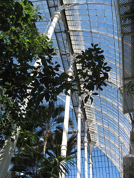 the highest palm house in the UK