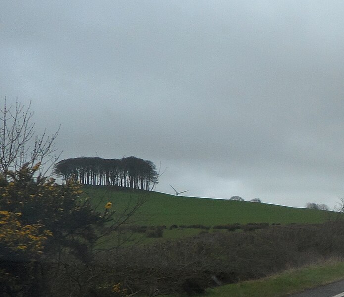 File:Hilltop Copse near Lower Cookworthy - geograph.org.uk - 4427127.jpg