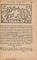 Historiae de gentibus septentrionalibus (15450313710).jpg