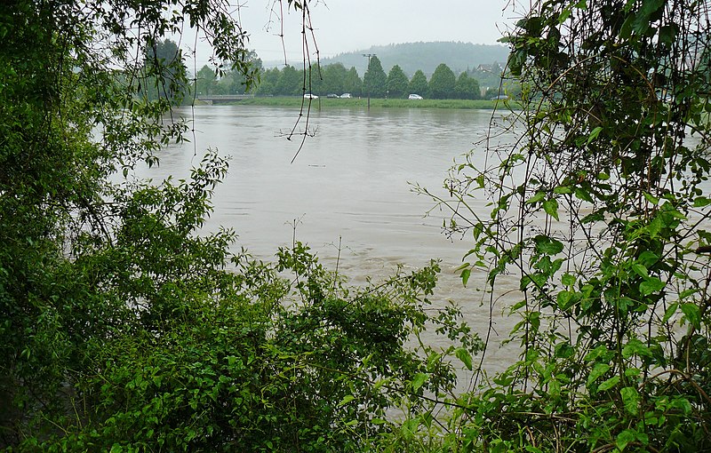 File:Hochwasser (Würm und Schwippe) am 1. Juni 2013 - panoramio (1).jpg