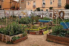 Hort Indignat del Poblenou (12727976284).jpg