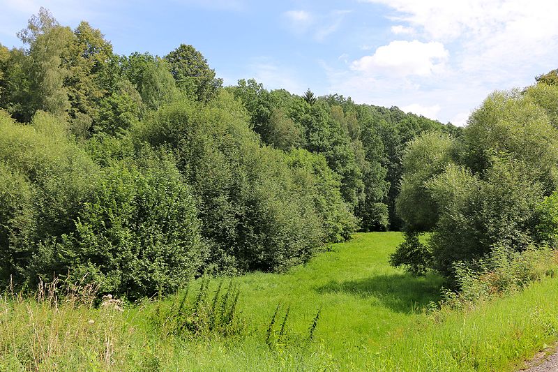 File:Hrádek nad Nisou, Dolní Suchá, Lužická Nisa valley.jpg