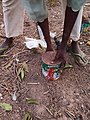 Hunting for termites in Northern Ghana 01