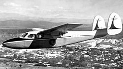 An I.Ae.  45 Querandí in flight