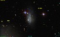 IC 3583 SDSS.jpg