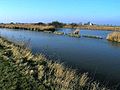 Mating area in the Yser (for fish)