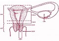 2006年7月14日 (五) 14:16版本的缩略图