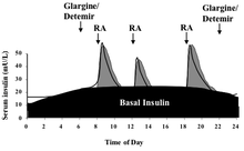 Diagram explaining the basal-bolus insulin schedule. The long acting insulin is given once (usually glargine, Lantus) or twice (usually detemir, Levemir) daily to provide a base, or basal insulin level. Rapid acting (RA) insulin is given before meals and snacks. A similar profile can be provided using an insulin pump where rapid acting insulin is given as the basal and premeal bolus insulin. Insulin basal bolus.png