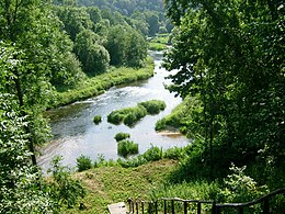 Tauragė - Vizualizare