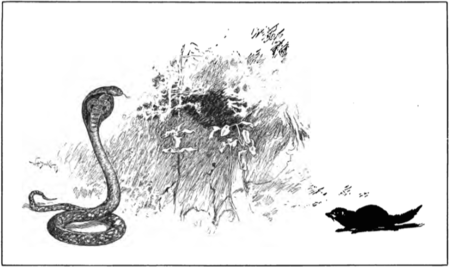 Tập_tin:Jungle_book_p206r.png