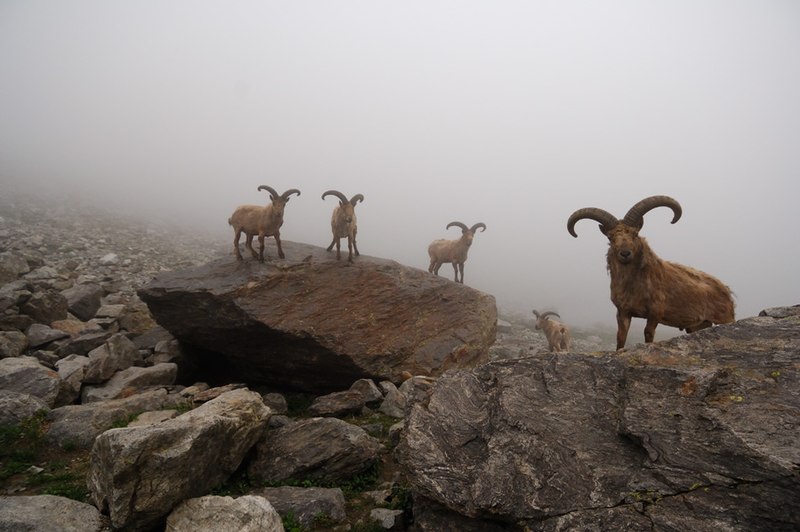 File:Kabardino-Balkarski nature reserve.jpg