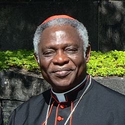 Kardinaali Peter Turkson.jpg