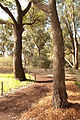 Kings Park, Western Australia