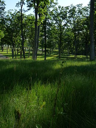 <span class="mw-page-title-main">Kingsley Bend Mound Group</span> United States historic place