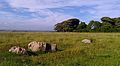 Stones in the Early Bronze Age Kingston Russell stone circle. [6]