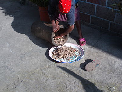 Kororima. Die getrockneten Früchte wurden pulverisiert, sodass die Samen entfernt werden können. Der gemahlene Samen wird als Zutat in Berbere verwendet. (Shashamane, Äthiopien)