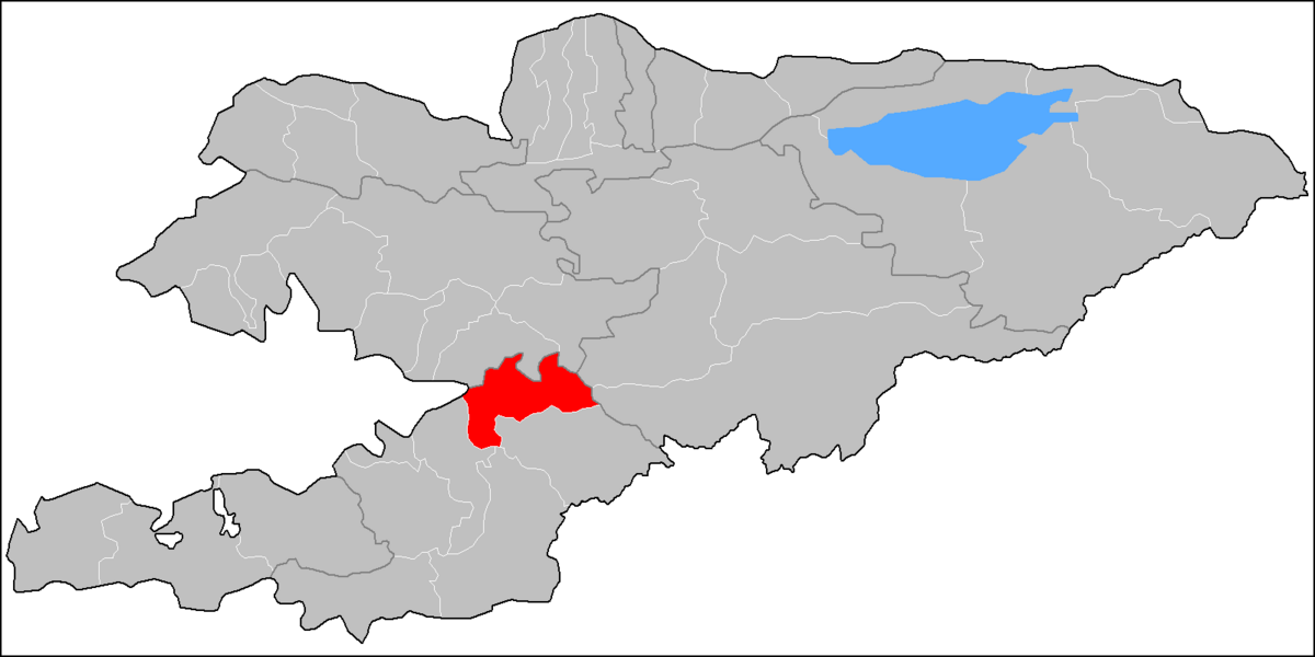 Uzgen District