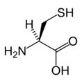 L-半胱氨酸 (Cys / C)