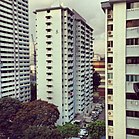 Lavender district HDB flats in Singapore.JPG